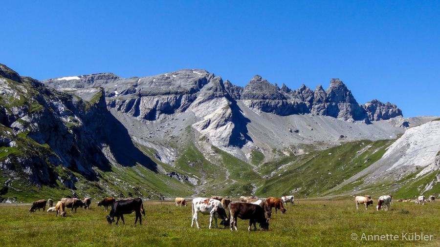 Segnes UNESCO-Weltnaturerbe Sardona Flims Laax