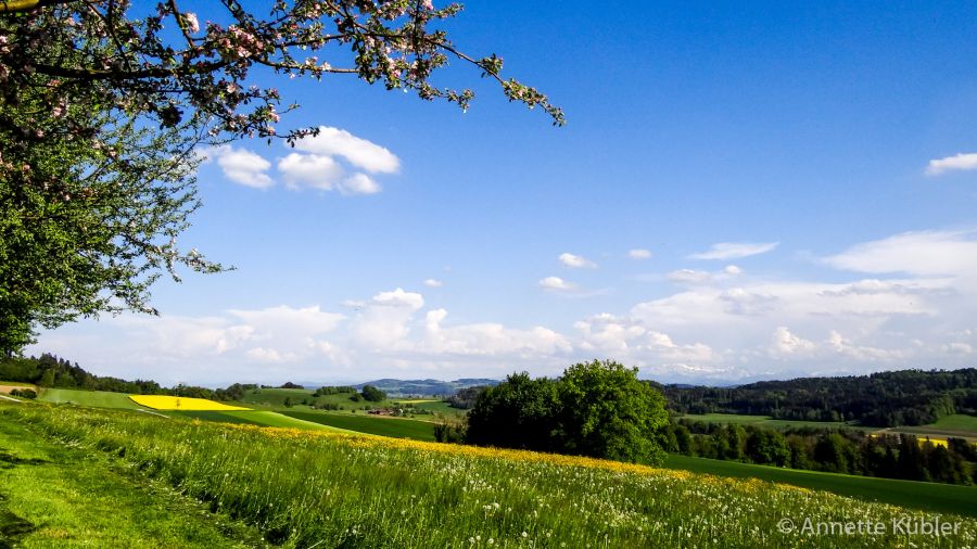 Weitsicht auf dem Friedberg