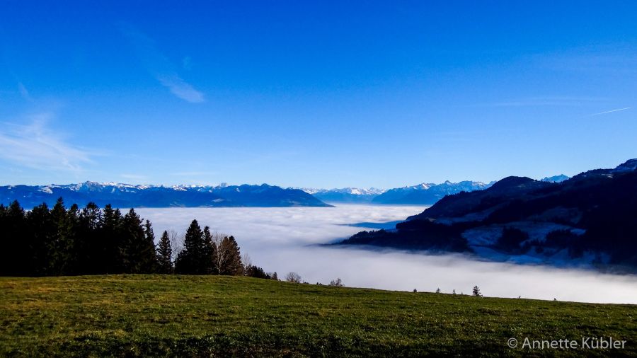Hoher Hirschberg Appenzellerland über dem Nebellichtvolle Adventszeit